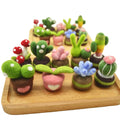 Custom Folk Art Handmade Succulent Plants DIY Felt Crafts Manufacturer Factory Private Label Logo OEM ODM Service Needle Felting