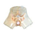 Transparent Curettage Model Medical Mannequin for Medical School and Hospitals Use