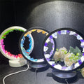 Hot-sale Natural Crystal Night Light Wholesale Crystal Raw Stone Lamp for Home Decoration