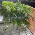 Wholesale Bulk Green Faux Foliage Grass Vine Fake Greenery Tropical Fern Leaf Garland Artificial Wall Hanging Plant From Ceiling