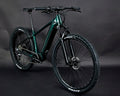 Electric Mountain Bicycle Aluminum Frame Hardtail Electric Bike Bafang M410 Motor 36V 16AH Battery  Alu Alloy Complete Bike E05