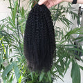 12A Wholesale Afro Kinky Brazilian Human Hair Ponytail 100% Human Hair Drawstring Curly Human Hair Ponytail Extension on Sale