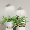 J&C Miniarden Charloe - Umbrella Plant Grow Light LED Mini Smart Garden Grow Indoor Garden