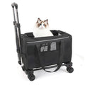 Stylish Sustainable Oxford Material Pet Carrier Bag Zipper Closure Fashionable Mesh Design for Small Animals' Outdoor