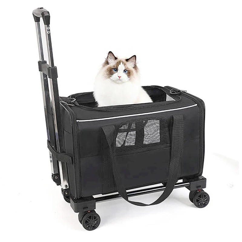 Stylish Sustainable Oxford Material Pet Carrier Bag Zipper Closure Fashionable Mesh Design for Small Animals' Outdoor