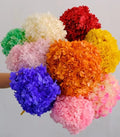 Wholesale Multicolor Hydrangea Wedding Decoration Single Plant Artificial True Hydrangea