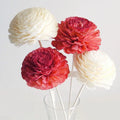 Colored Chrysanthemum Preserved Forever Scented Wood Flowers With Placement Refill Sticks for Aroma Diffuser