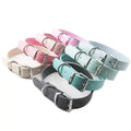 2024 Classic Wholesale Pet Supplies Customized Leather Pet Training Collar Leash Set Dog Collar Leash Set
