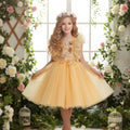 Beautiful Girl's Embroidered Princess Dress Flower Girl Party Dress Children's Wear for Birthday