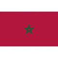 Ready to Ship 100% Polyester 3x5ft Stock MAR Moroccan National Moroco Morocco Flag