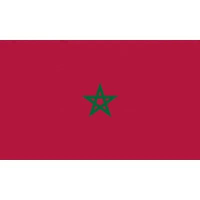 Ready to Ship 100% Polyester 3x5ft Stock MAR Moroccan National Moroco Morocco Flag