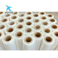 Wholesale Transparent Heat Transfer PET Film for Screen Printing with Shake Powder Machine T-Shirt Printer