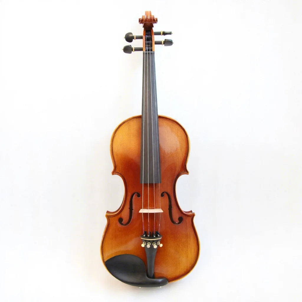 Pure Handmade Oil Painting Workmanship Professional Violin with Top Quality Violin Accessories Factory Price Violin Professional
