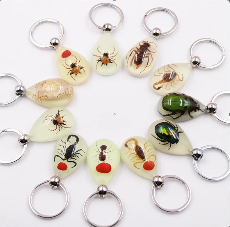 Glow in Dark Real Insect Keychain Resin Scorpion Pendant Charm Insect Amber Specimen Keychain for Men Souvenir Gift
