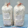 Autoclavable 60um Gusseted Mushroom Polypropylene (PP) Plastic Spawn Grow Filter Bag High Temperature Packaging Printing