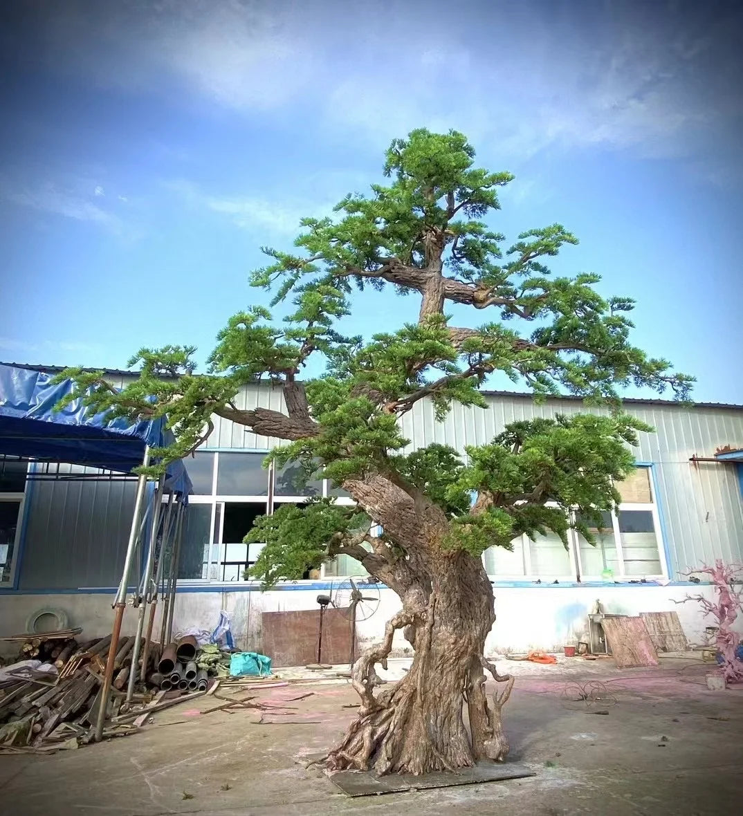 Greency Tree 5m Artificial Pine Tree Plastic Coffee Market Decor for Shops and Offices