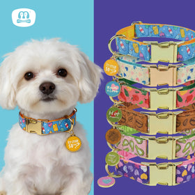 MIDEPET Luxury Quick Release Dog Collar with ID Tag Alloy & Nylon Cartoon Style Ribbons Decoration-New Year & Valentine's Gift