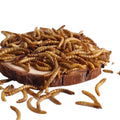 Wholesale Custom-packaged Dried Yellow Mealworm Larvae