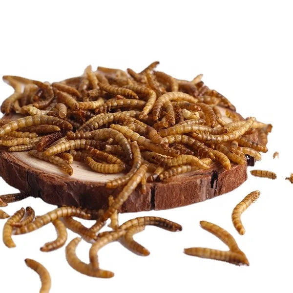 Wholesale Custom-packaged Dried Yellow Mealworm Larvae