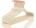 Premium Plastic Non-Slip Hangers with Gold Hook Space-Saving Flocked Velvet Clothes Hangers for Wardrobe