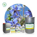 Borage Seed Oil for Capsules Skin - 100% Pure Natural Borago Officinalis Seed Cold Pressed Carrier Oil | Bulk Price 1kg