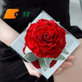 Acrylic Real Rose Gift Box Giant Forever Preserved Eternal Rose Box Rosas Flower Valentinstag Geschenk Valentines Day Gifts 2026