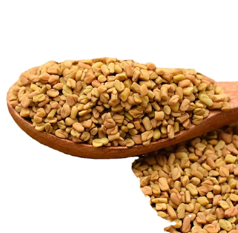 Hu Lu Ba Bulk Sell New Harvested Natural Trigonella Fruit 100% Clean Ripe Raw Seeds Trigonella Semen for Sale
