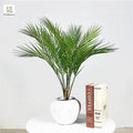 Spot Wholesale Nordic Tropical Palm Leaf Plants Large Artificial Palm Tree Leaves Wedding Home Restaurant Decoration