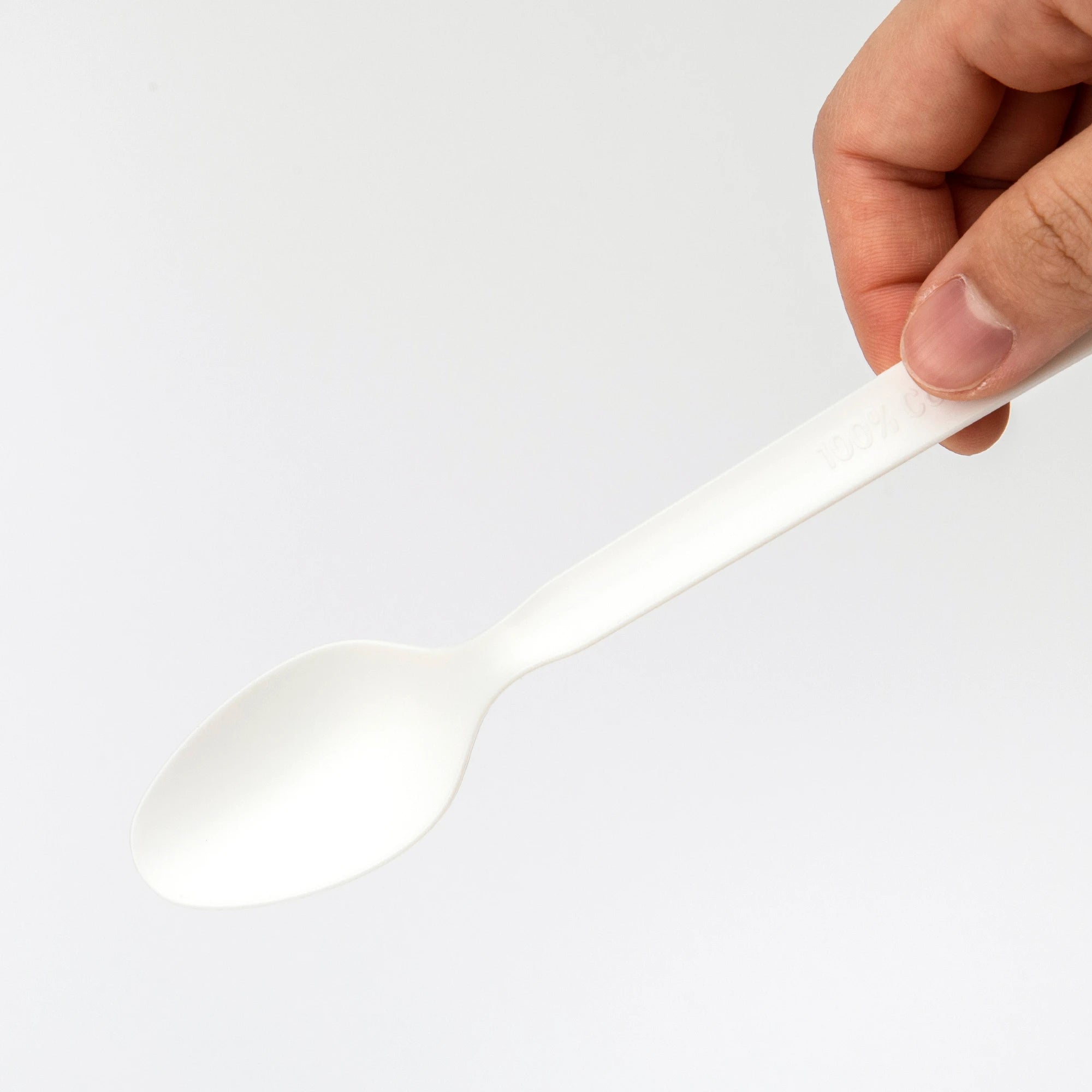 Biodegradable Disposable PLA Spoon Cutlery for Party Camping Individual Packaging Yogurt Spoon