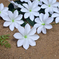 Women's Large 9cm EVA Foam Tiare Hair Flowers Artificial Tropical Hair Clip Picks Inspired by Marshal Islands