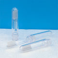 Nylon Bristles Traveling Toothbrush Transparent Handle Portable Toothbrush Physical Plant cepillo de dientes
