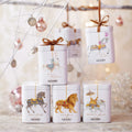 Custom Festival Style Design Storage Packing Gift Set Wholesale Coffee Bean Tea Container Cookie Chocolate Mint Candy Tin Box