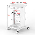 Trade Assurance 4-Wheel Mobile Portable Spa Trolley Cart Facial Beauty Machine Trolley Cart