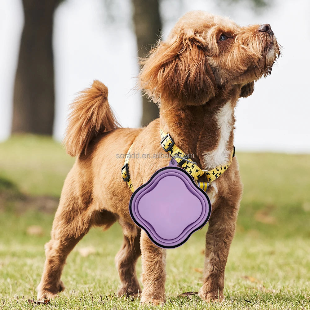 2024 OEM ODM Manufacturer Custom Logo & Color Portable Collapsible Pet Cat Dog Travel Water and Food Dish Bowl with Carabiner