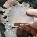 Hong Yao Zi Raw Polygonum Cillinerve Rhizome Sliced Polygonum Cillinerve Bulbs for Herb