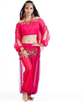 Belly Dance Costumes  Long Pants Indian Dress Bollywood Clothes Performance Wear Arab Dance Dress Wholesales Stage Dance Costume