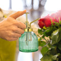 200ML Vintage Glass Plant Mister Top Pump Fine Mist Garden Flower Sprayer Small Decorative Spritzer with Water Power Source