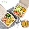 BioKing 9*9 Inch Biodegradable Disposable Clamshell Bagasse Pulp Bento Lunch Food Container Eco-Friendly Bagasse Food Container