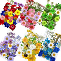 M391 Preserved Wildflower Stem Leaf Petals Pressed Flowers Diy Pressed Flower Resin Pressed Flat Dried Flower  for Craft DIY