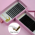 Wholesale New Dark Lash Tray Easy Fan Mega Volume Lash Extensions Private Label Eyelash Extensions