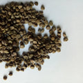 1kg Raw Dry Cassia Occidentalis Herb of Coffee Senna Semen for Sale