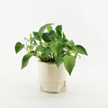 New Design Good Quality Round Barrel Gardening Bag Cotton Gallon Garden Bag Planting  Biodegradable Cotton Fabric Grow Bags