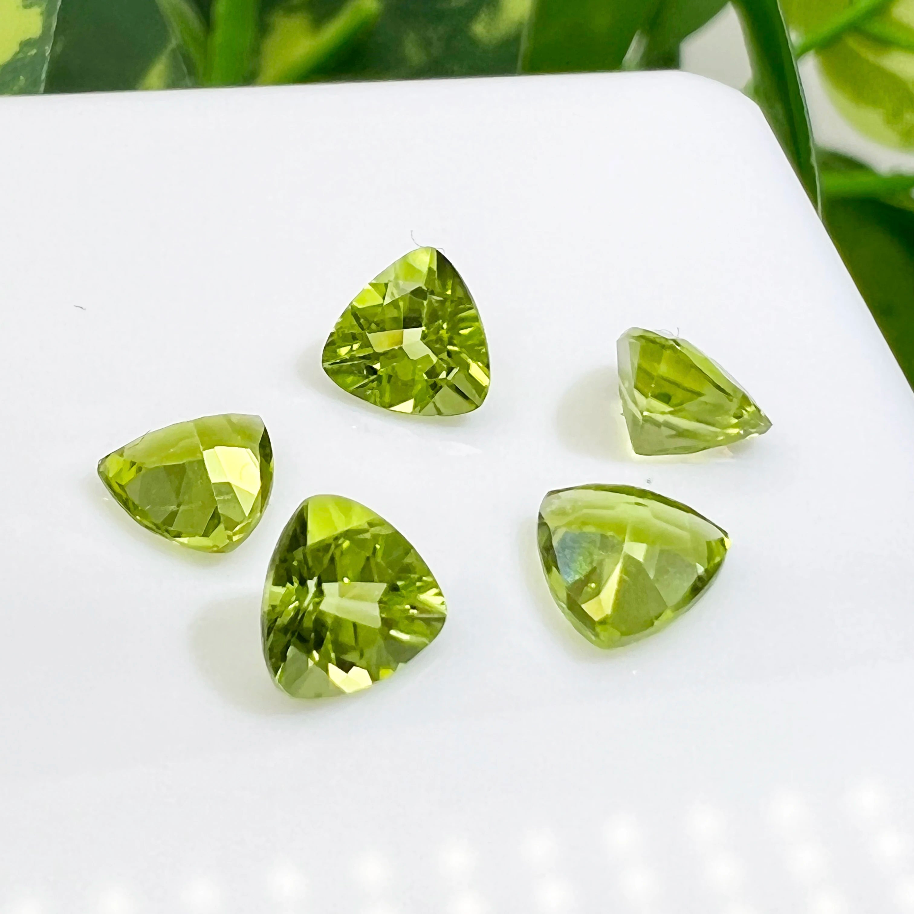 Trillion Shape 4.0m~8.0mm  Faceted Natural Gemstones VS Good Quality  Making Jewelry Natural Peridot