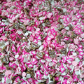 1KG DIY Craft Slime Sprinkles Valentine Day Polymer Clay Slices Pink Heart Love Bear Mixture Polymer Clay Sprinkles