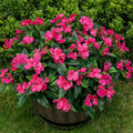 Artificial Impatiens Flowers Plants Garden Stunning Bouquet Silk Greenery for Balcony Window Box Home Patio Lawn Garden Decor