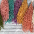 Factory Wholesale Natural Home Decoration Artemisia Oryzae Preserved Flowers-Long Lasting 3-5 Years Mother's Day Valentine's Day