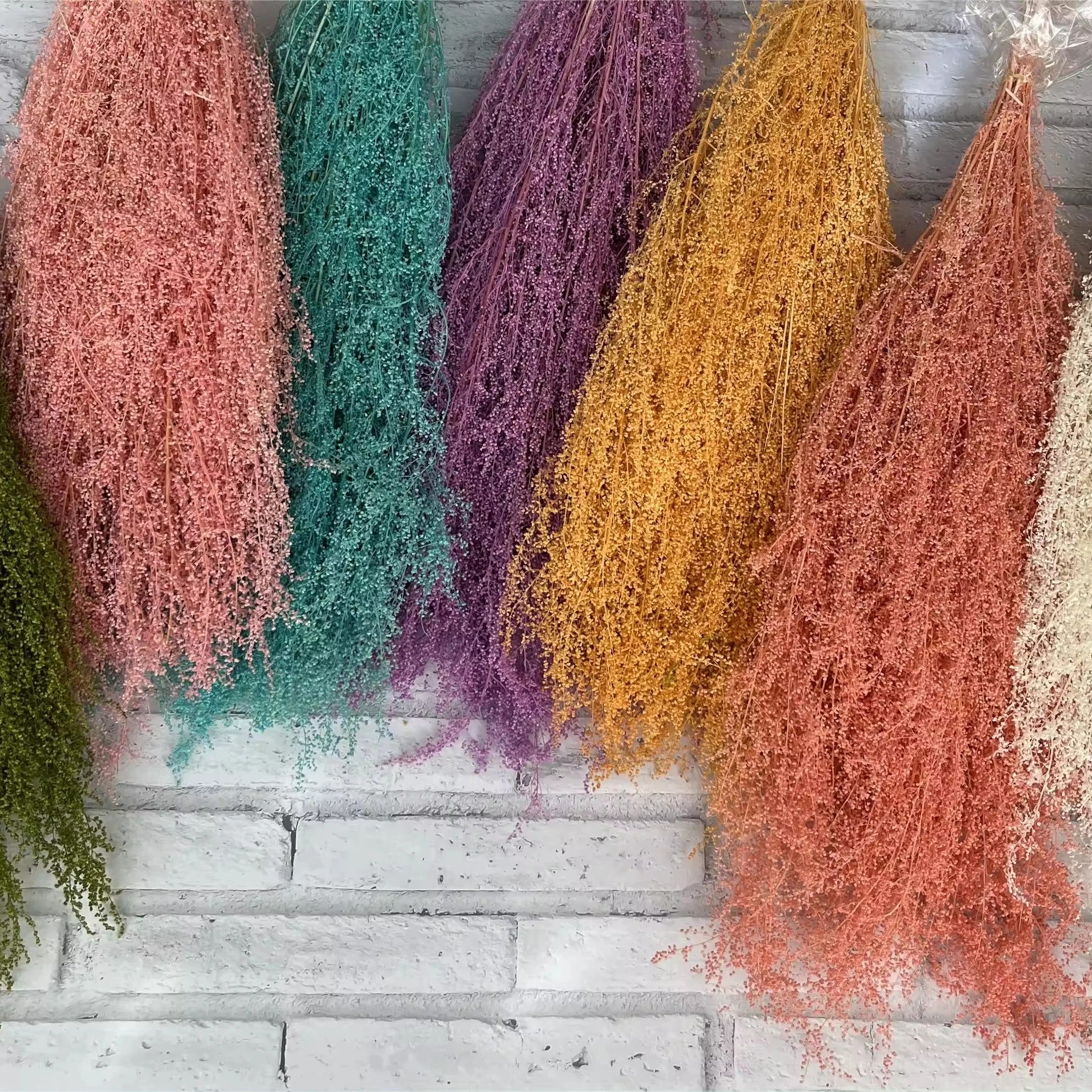 Factory Wholesale Natural Home Decoration Artemisia Oryzae Preserved Flowers-Long Lasting 3-5 Years Mother's Day Valentine's Day