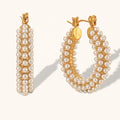 Dingran Top Quality Fresh Water Pearl Hoop Earring PVD Gold Plated Stainless Steel Earrings Jewelry for Women