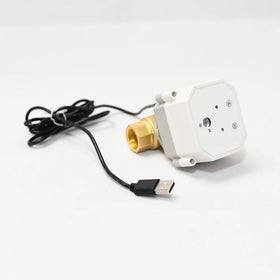 Tonheflow Lorawan Lora 868 Wireless Remote Valve Sensor 3/4