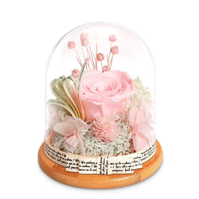 Blue Preserved Rose for Women Mom Grandma Wife Forever Eternal Real Rose Box Mother's Day Glass Roses 5 - 7 Days Royal Blue 2pcs